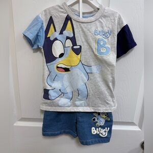 Bluey Graphic T-Shirt and Shorts Set